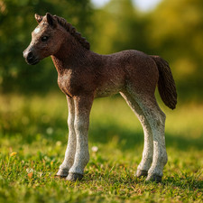 Schleich Pony Foal | Retired
