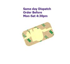 iPhone 3G 3Gs Front Touch