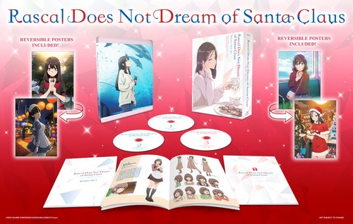 Rascal does not dream - not,