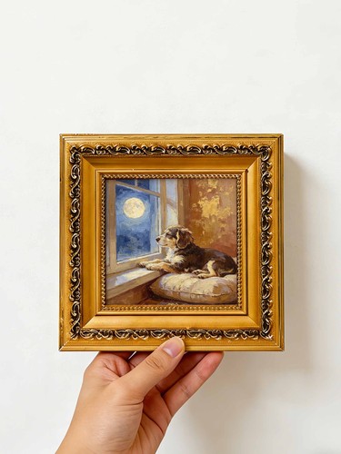 Dog watching moon - dog, window