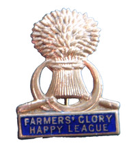 Unidentified vintage enamel