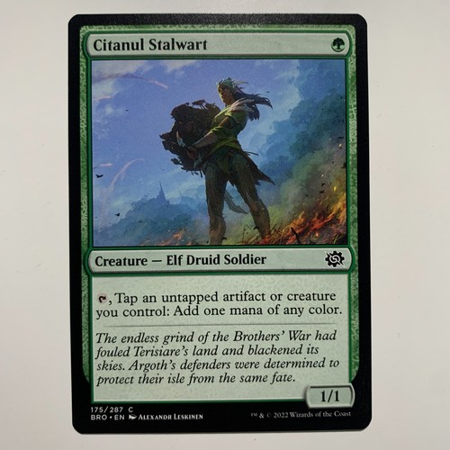 Citanul stalwart 175 287 - -,