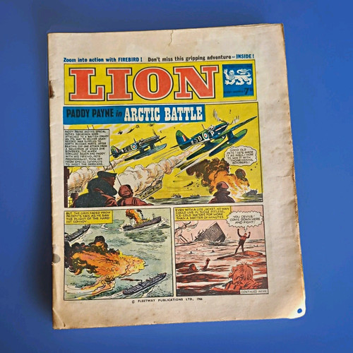 Lion comic book - lion, paddy