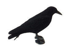 Flocked Crow Full Body Decoy