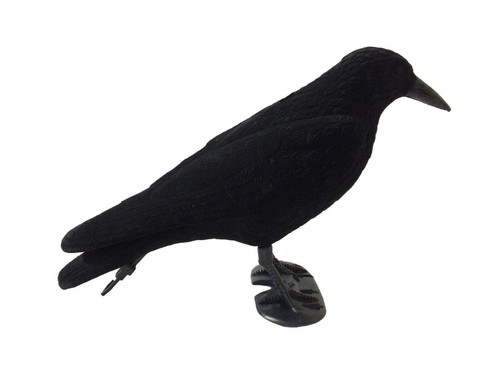 Flocked crow full body - flocked,