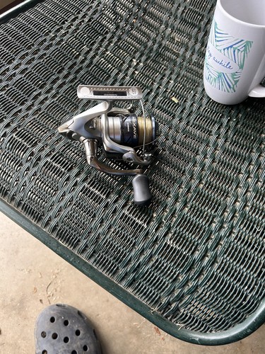 Shimano nexave 2500hg - nexave,