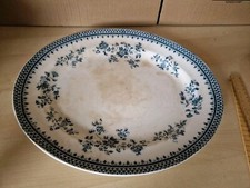 Burgess and leigh blue and