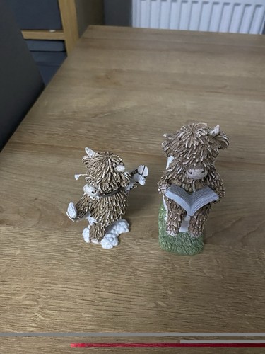 Next hamish the highland cow - the,