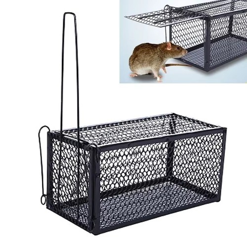 Humane mouse trap - cage, smart