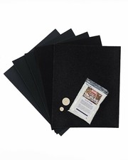 Fossil Polishing Kit Activity