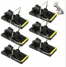 Traditional mouse traps - ,