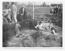 SWINTON WOOD nr Kirby