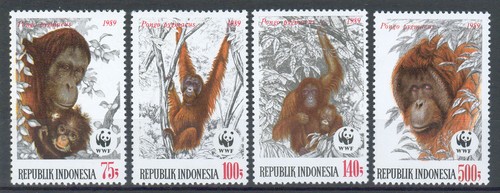 Wwf indonesia orangutan - indonesia, "orangutan"