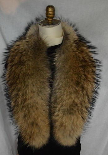 Real finn raccoon - fur, collar