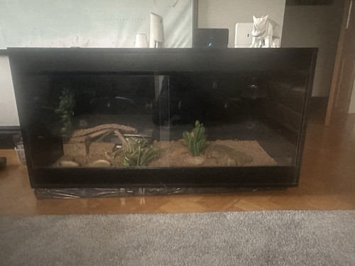 Vivarium habistat reptile - vivarium,