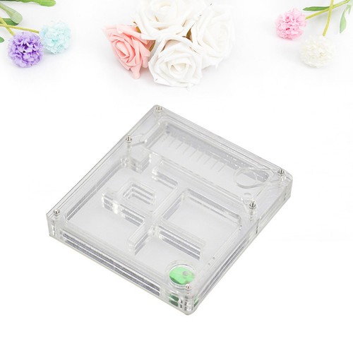 Creative ant hydrating box - ant,