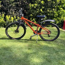 Overdrive Diamondback Vector