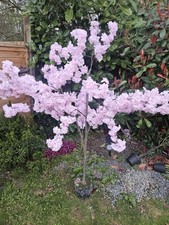 Artificial cherry blossom tree