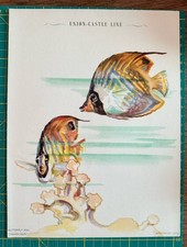 1954 Union-Castle Line Illustrated Dinner Menu – Buttery Artwork Tropical Fish