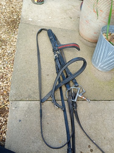 Stubben bridle cob black inc - black,