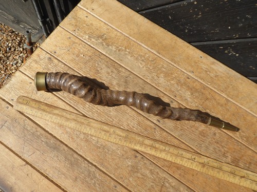 Antique antelope horn with - horn,