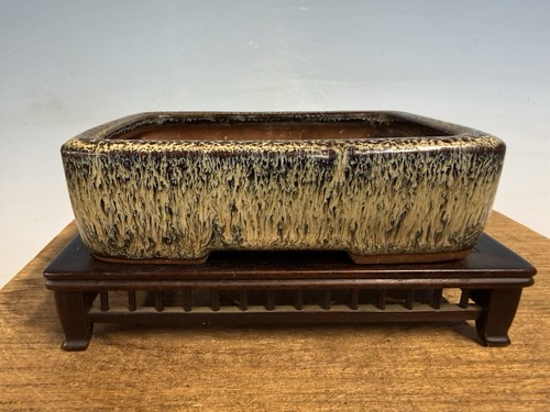 Stunning glazed shohin - stunning,