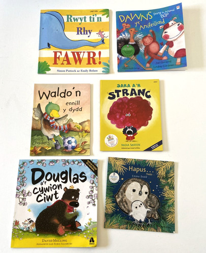 Welsh language books - 6,