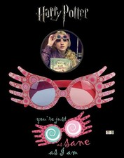 Harry Potter Wizarding World ~