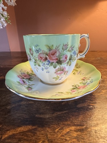 Royal albert moss rose - moss,
