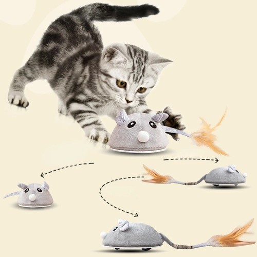 Interactive mouse moving cat - moving,