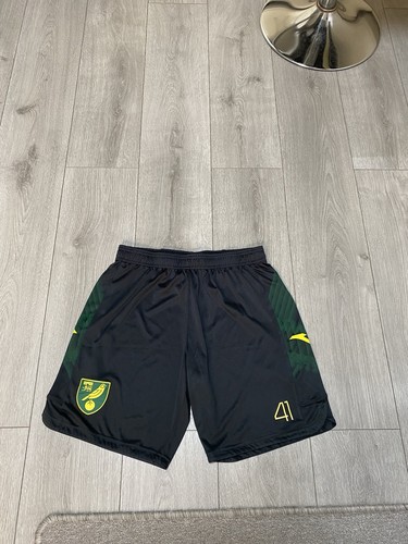 Norwich city match worn - norwich,