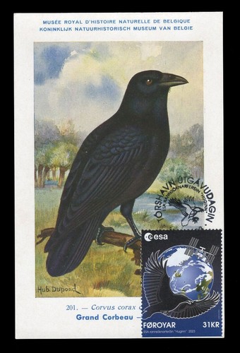 Faroe islands 2023 maximum - 2023,