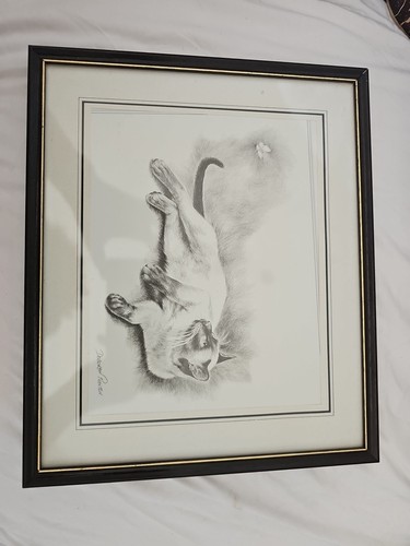 Simese cat sketch deborah - simese,