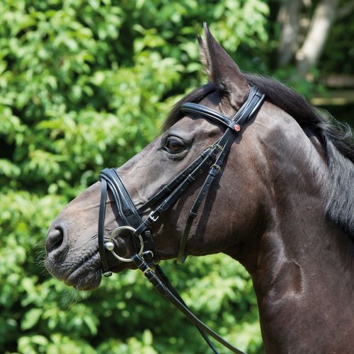 Kieffer perseus snaffle bridle - kieffer,