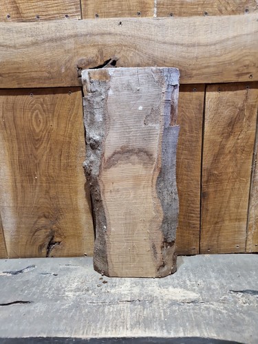 Live edge beech slab - live,