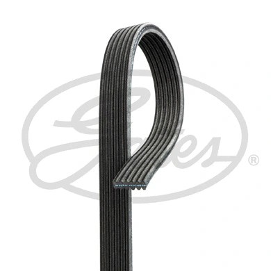 Ribbed belt fits vw - v-ribbed,