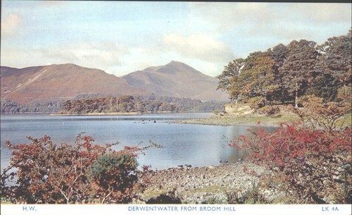 Derwentwater from broom - from,