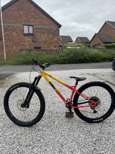 Ragley bigwig race 29er - bigwig, steel
