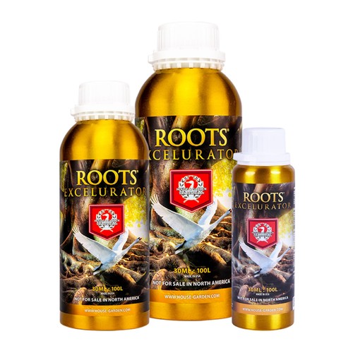 Roots excelurator gold house - roots, &