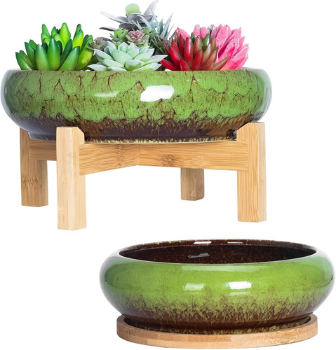 Succulent plant pot 5 - succulent, 18.5/25