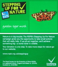 Rspb pin badge sufn - rspb,