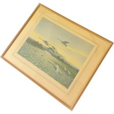 Framed Art Print by Peter