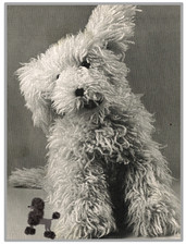 KNITTING PATTERN cuddly toys Shaggy Dog sheepdog extra large DK mascot toddler