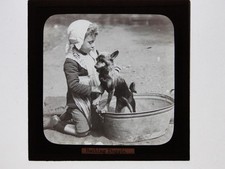 Girl Washing A Small Dog In A Tin Bath Glass Lantern Slide