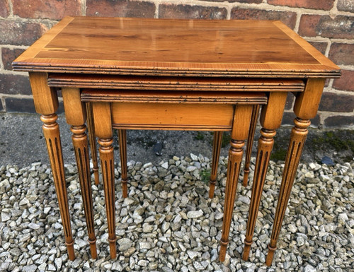 Yew wood nest - wood,