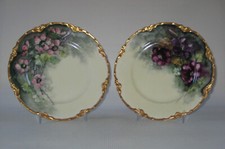 Pair of Hand Painted Bavarian
