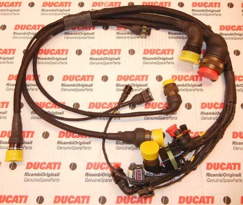 2001 ducati corsa racing 996rs - 2001,
