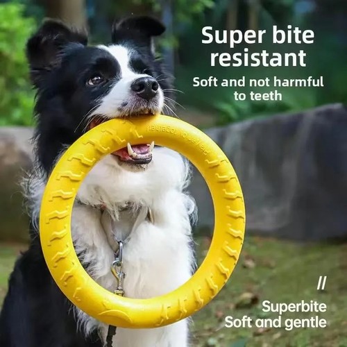 Dog ring toys - ring,