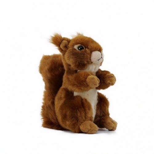 Stuffed squirrel cute - stuffed,