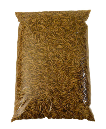 Dried mealworms premium - premium, wild